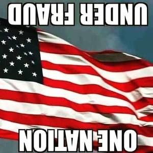 Meet your Posher, Anise